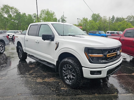 2025 Ford F-150 Tremor TRUCK
