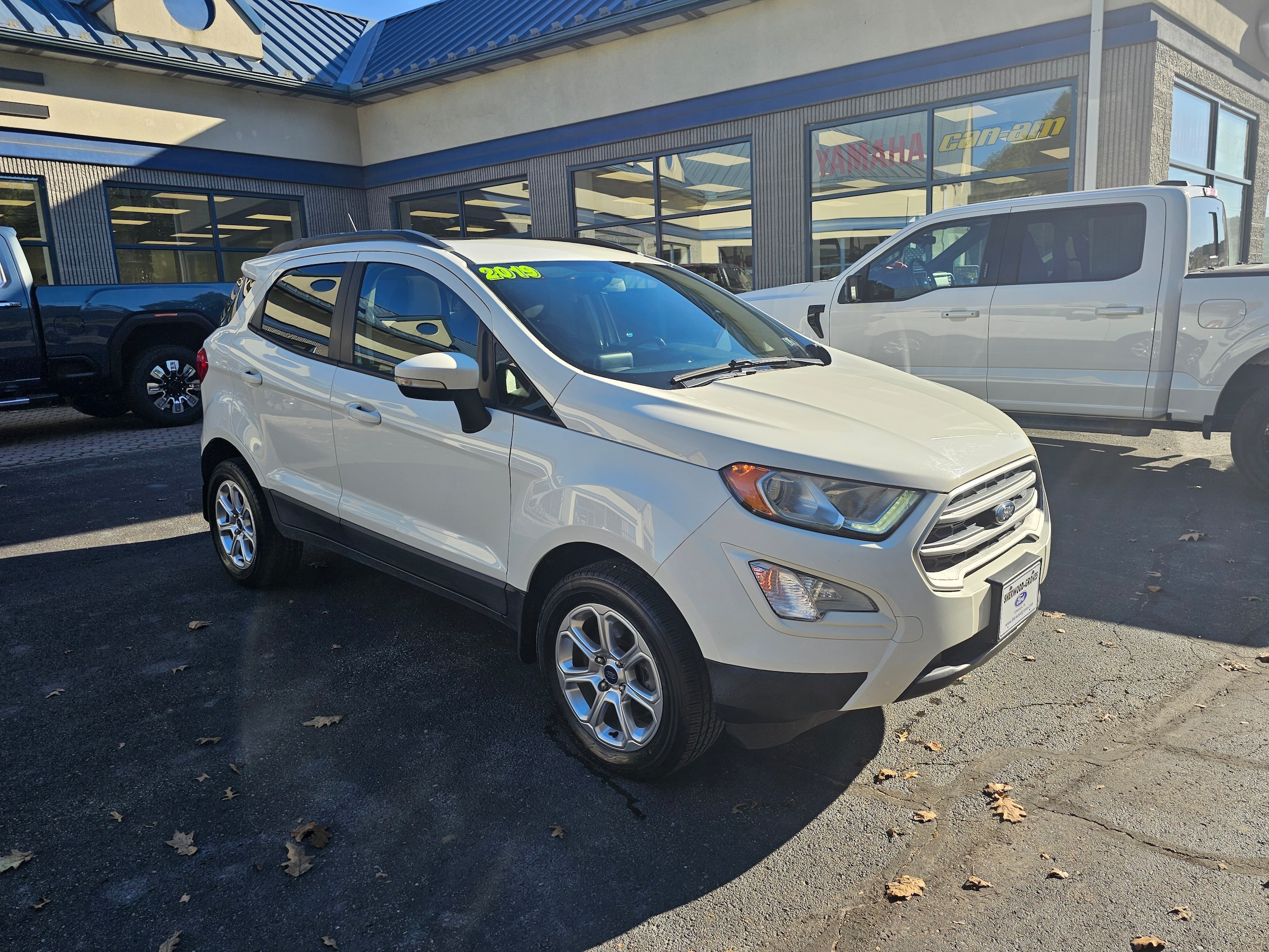 2019 Ford Ecosport SE
