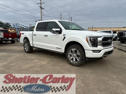 2022 Ford F-150 Platinum Truck
