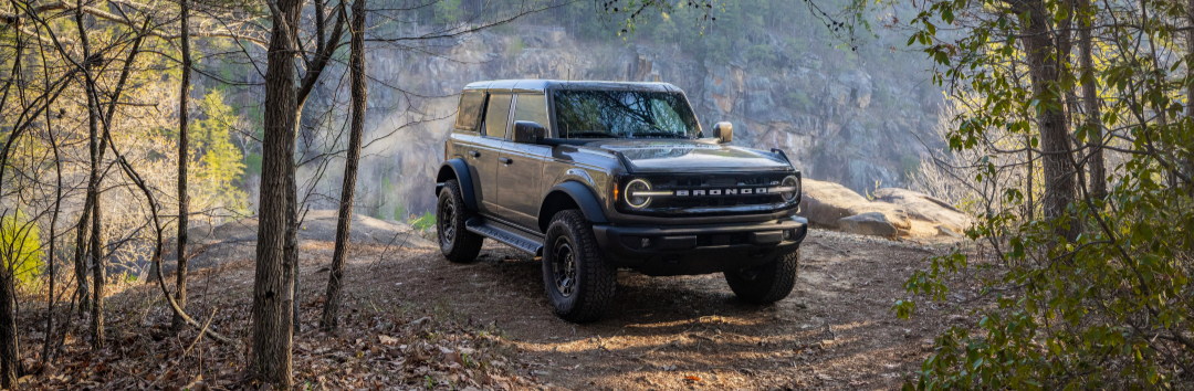 Ford Bronco Ford Bronco