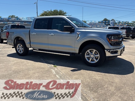 2025 Ford F-150 XLT Truck