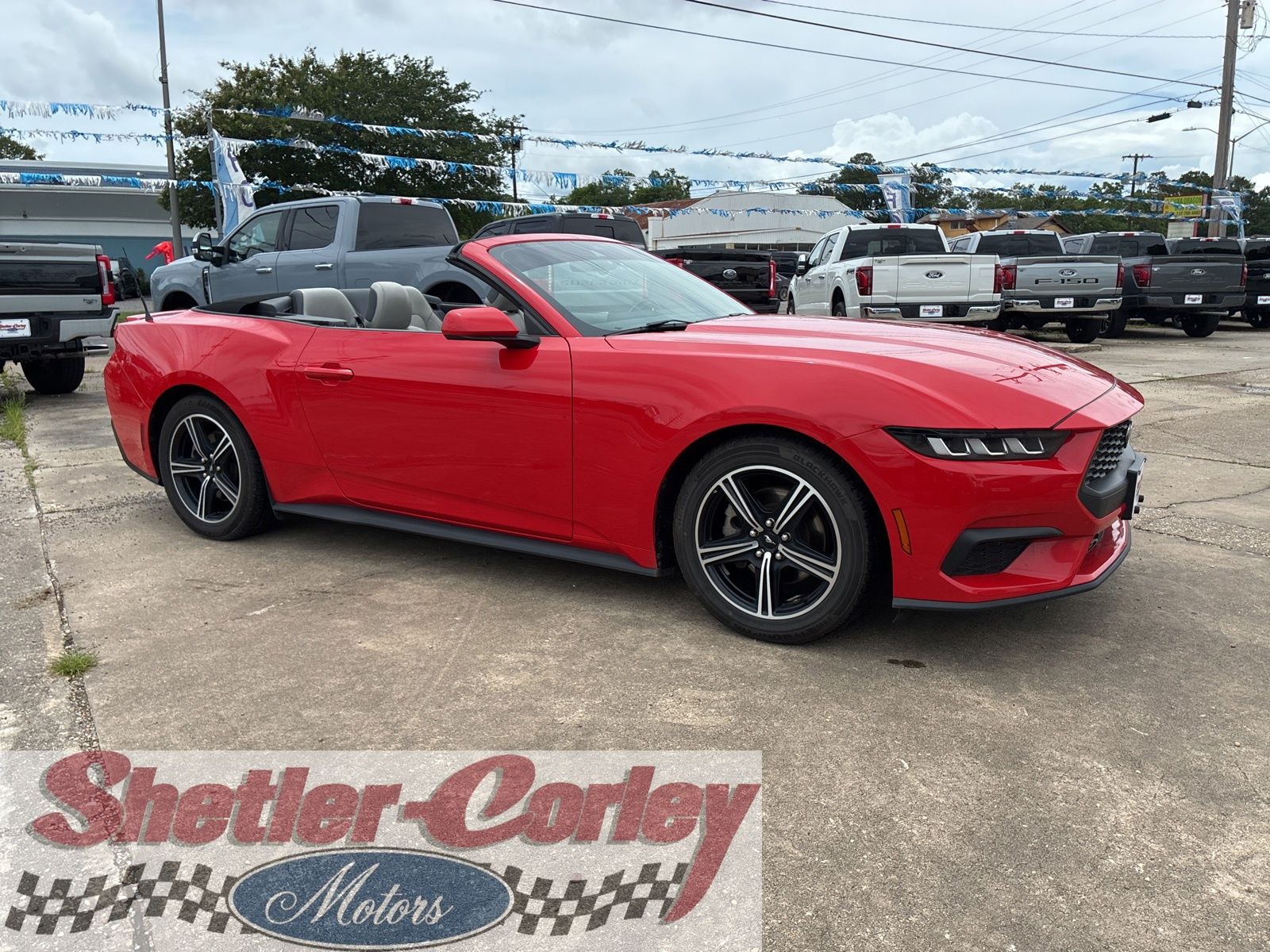 2024 Ford Mustang EcoBoost Premium Convertible's photo