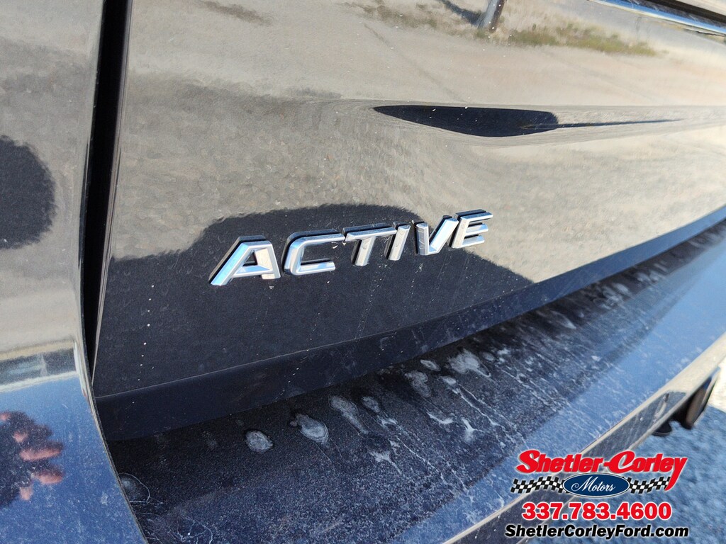 New 2025 Ford Expedition Active SUV