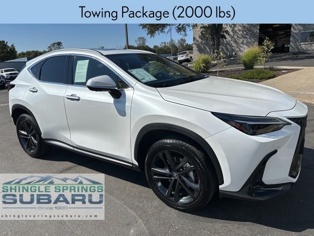 2024 Lexus NX 450h+ Luxury photo 2