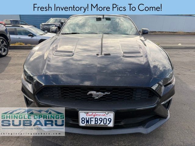 2019 Ford Mustang EcoBoost Premium Convertible photo 3