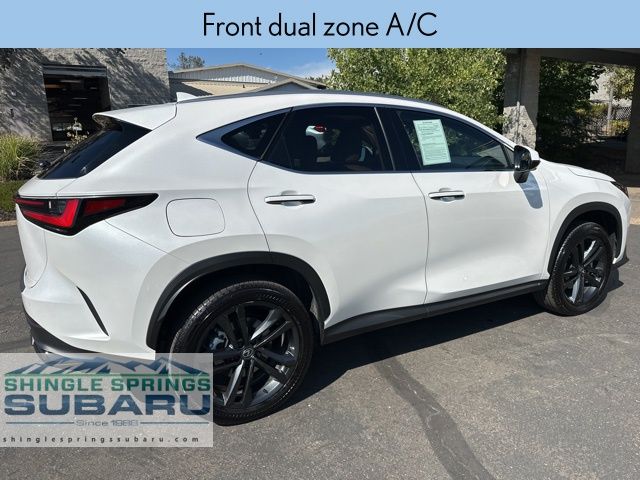2024 Lexus NX 450h+ Luxury photo 4
