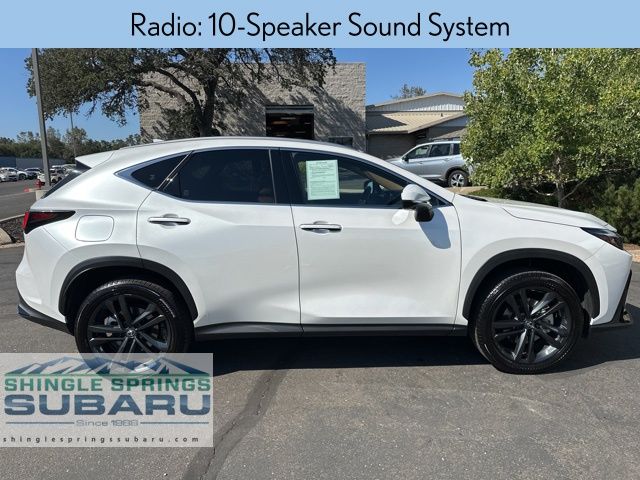 2024 Lexus NX 450h+ Luxury photo 3