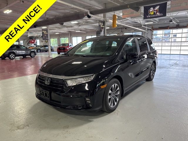 2023 Honda Odyssey EX-L's photo