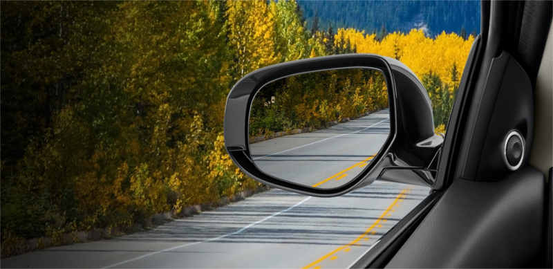 Blind Spot.png