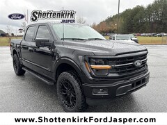 2025 Ford F-150 XLT Truck