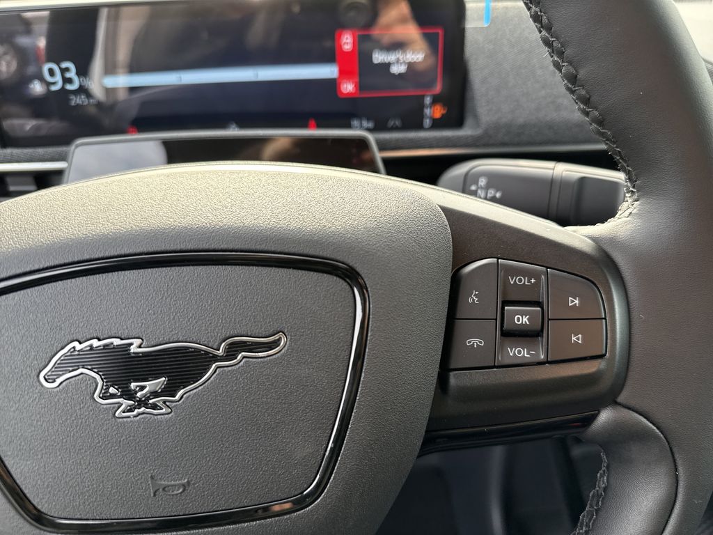 2025 Ford Mustang Mach-E Premium - Photo 26
