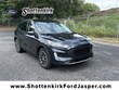 Ford Escape Phev