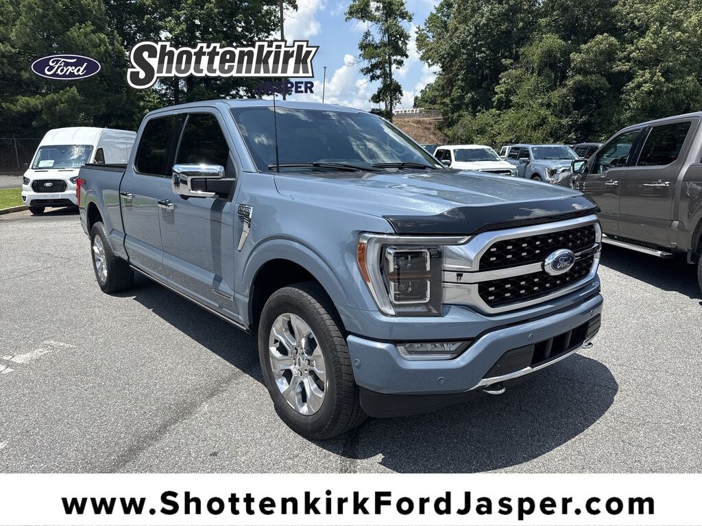 Used 2023 Ford F-150 Platinum Crew Cab Truck