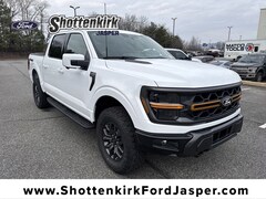 2025 Ford F-150 Tremor Truck