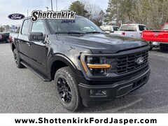 2025 Ford F-150 STX Truck