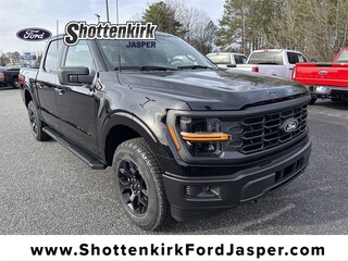 2025 Ford F-150 STX Truck