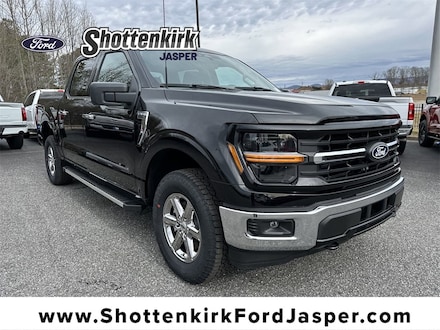 2025 Ford F-150 XLT Truck