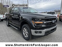 2025 Ford F-150 XLT Truck
