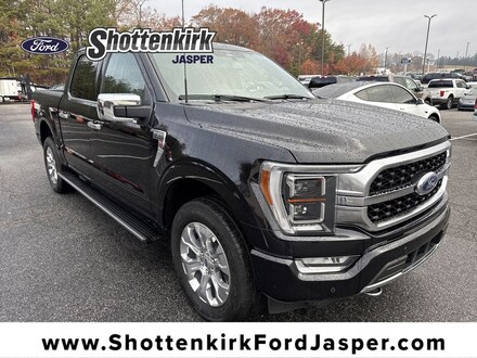 2023 Ford F-150 Platinum Crew Cab Truck