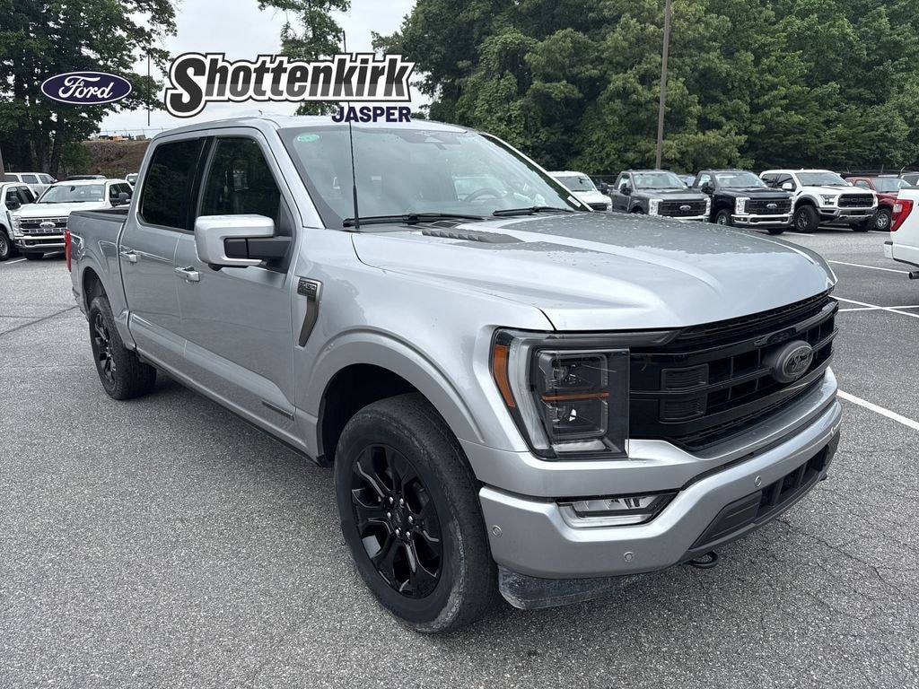 Used 2023 Ford F-150 Platinum Crew Cab Truck