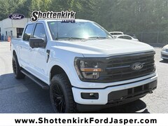 2025 Ford F-150 XLT Truck
