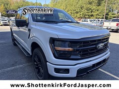 2025 Ford F-150 XLT Truck