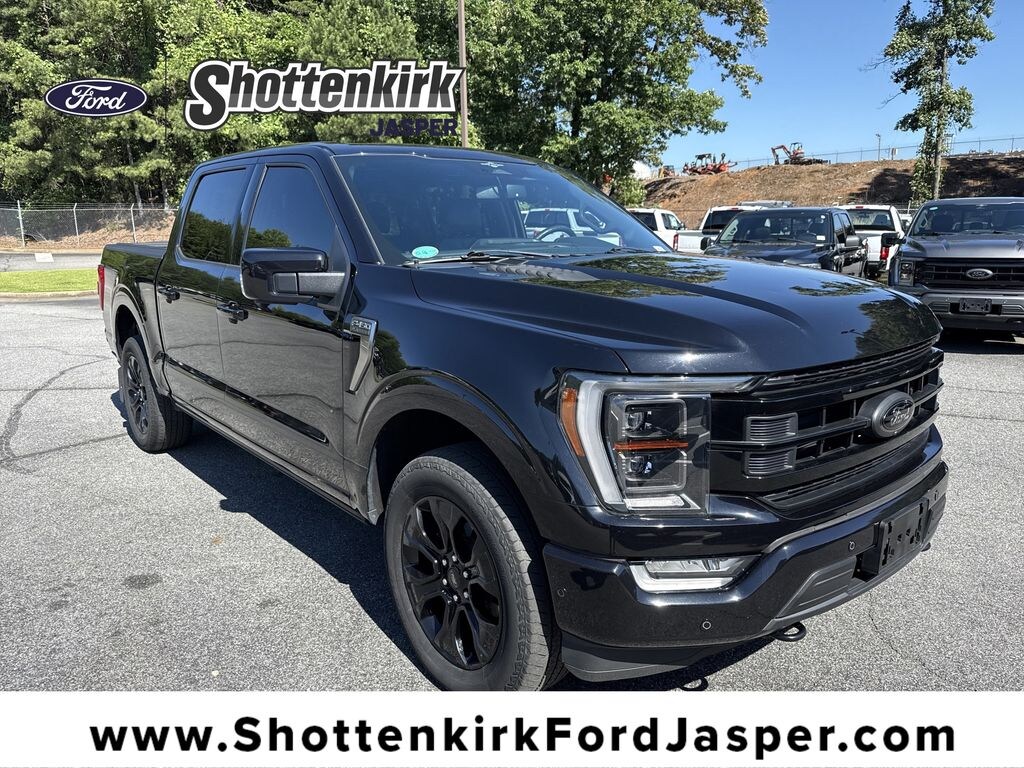 Used 2023 Ford F-150 Platinum Crew Cab Truck
