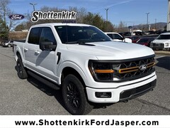 2025 Ford F-150 Tremor Truck