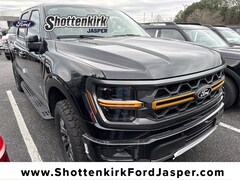 2025 Ford F-150 Tremor Truck