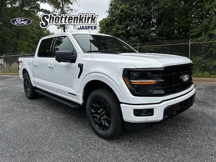 2025 Ford F-150 XLT Truck