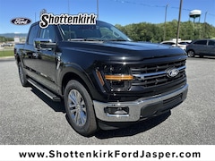 2025 Ford F-150 XLT Truck