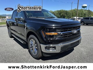2025 Ford F-150 XLT Truck