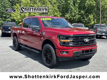 2025 Ford F-150 XLT Truck