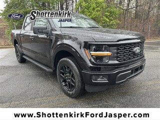 2025 Ford F-150 STX Truck