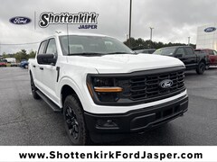 2025 Ford F-150 STX Truck