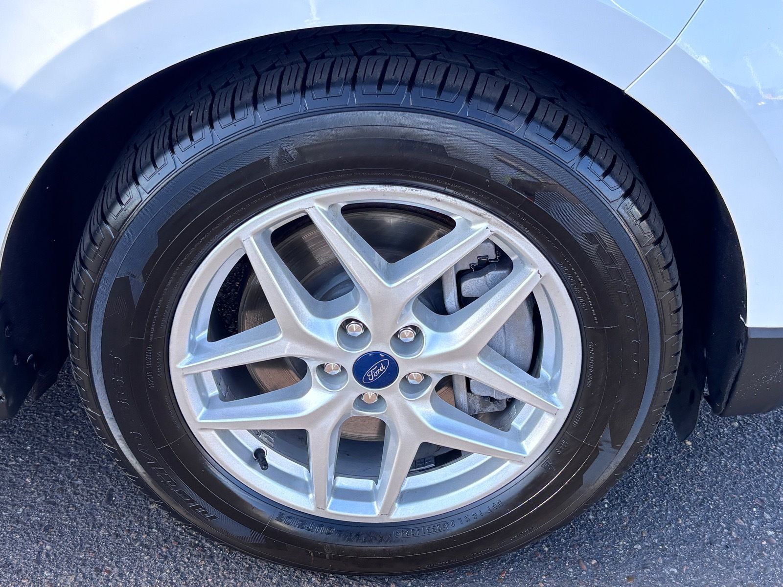 Photo 11