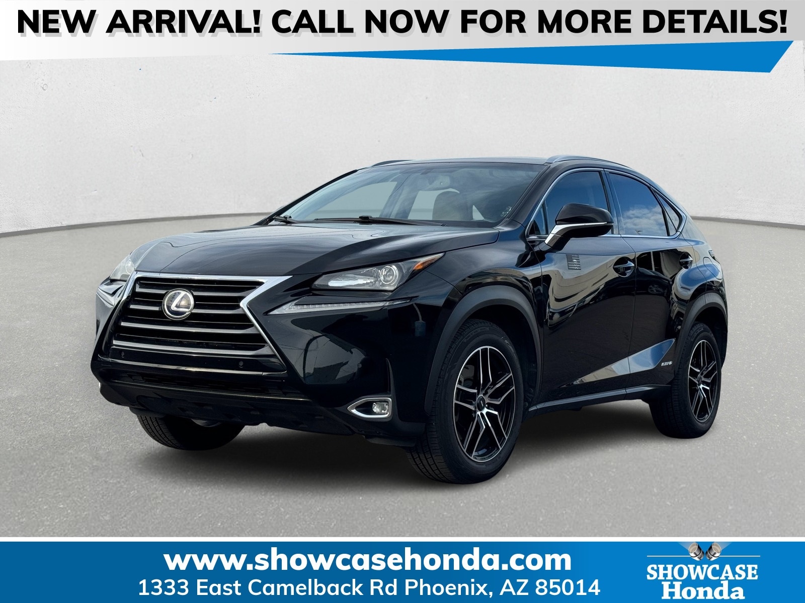 2016 Lexus NX 300h's photo