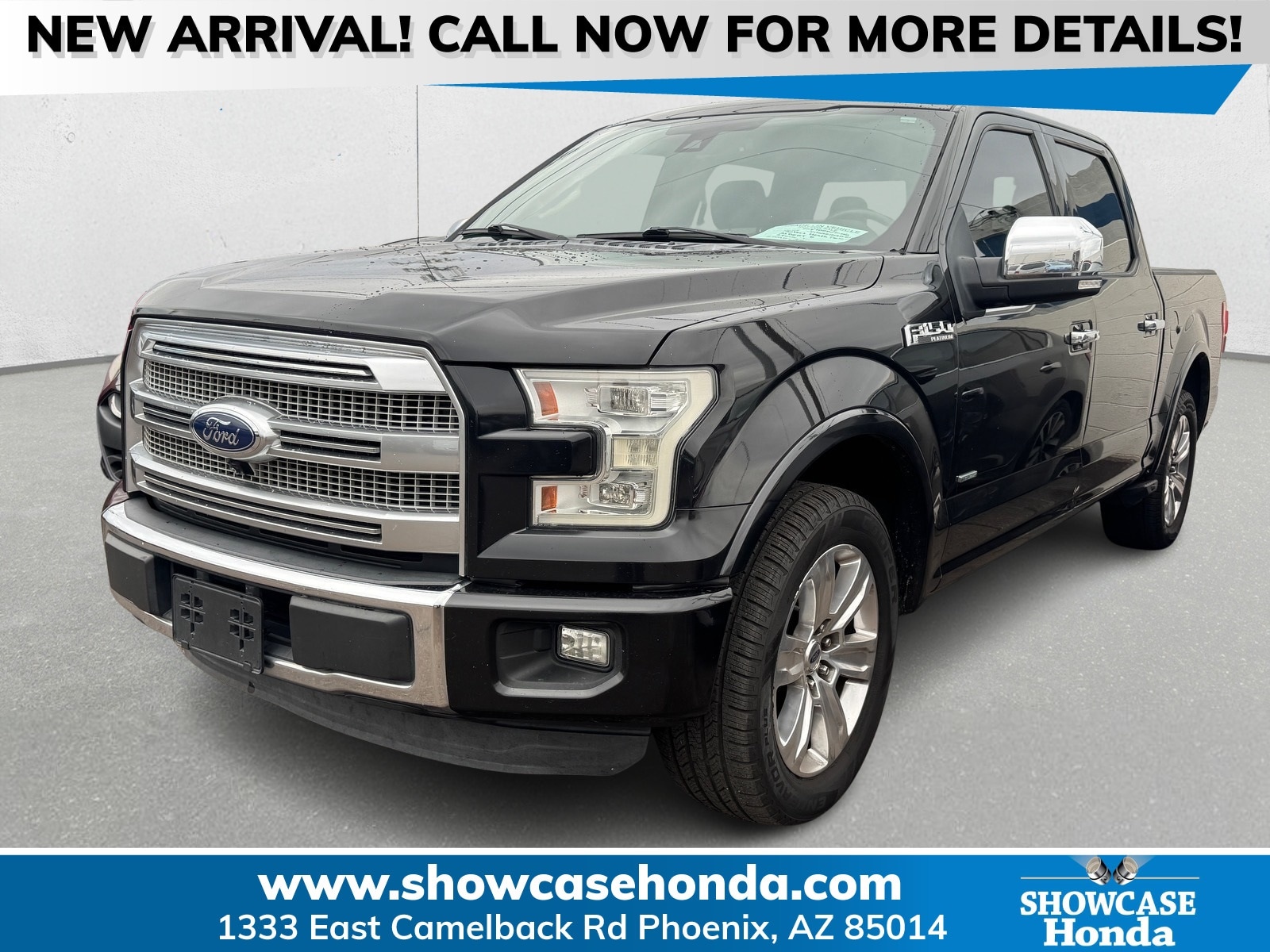 2015 Ford F-150 Platinum's photo