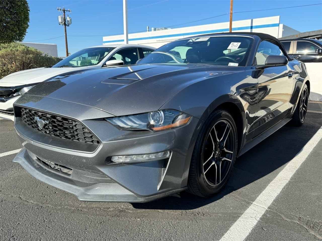 Used 2021 Ford Mustang EcoBoost with VIN 1FATP8UH1M5125014 for sale in Phoenix, AZ