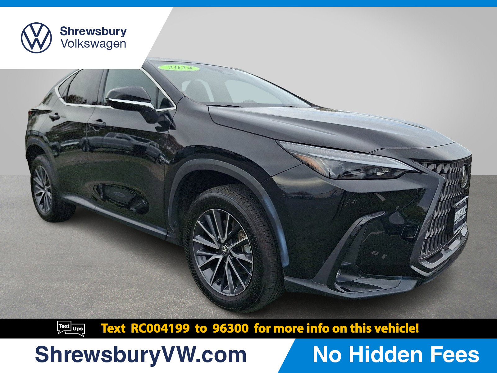 2024 Lexus NX 250's photo