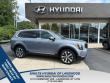 Used 2021 Kia Telluride EX SUV
