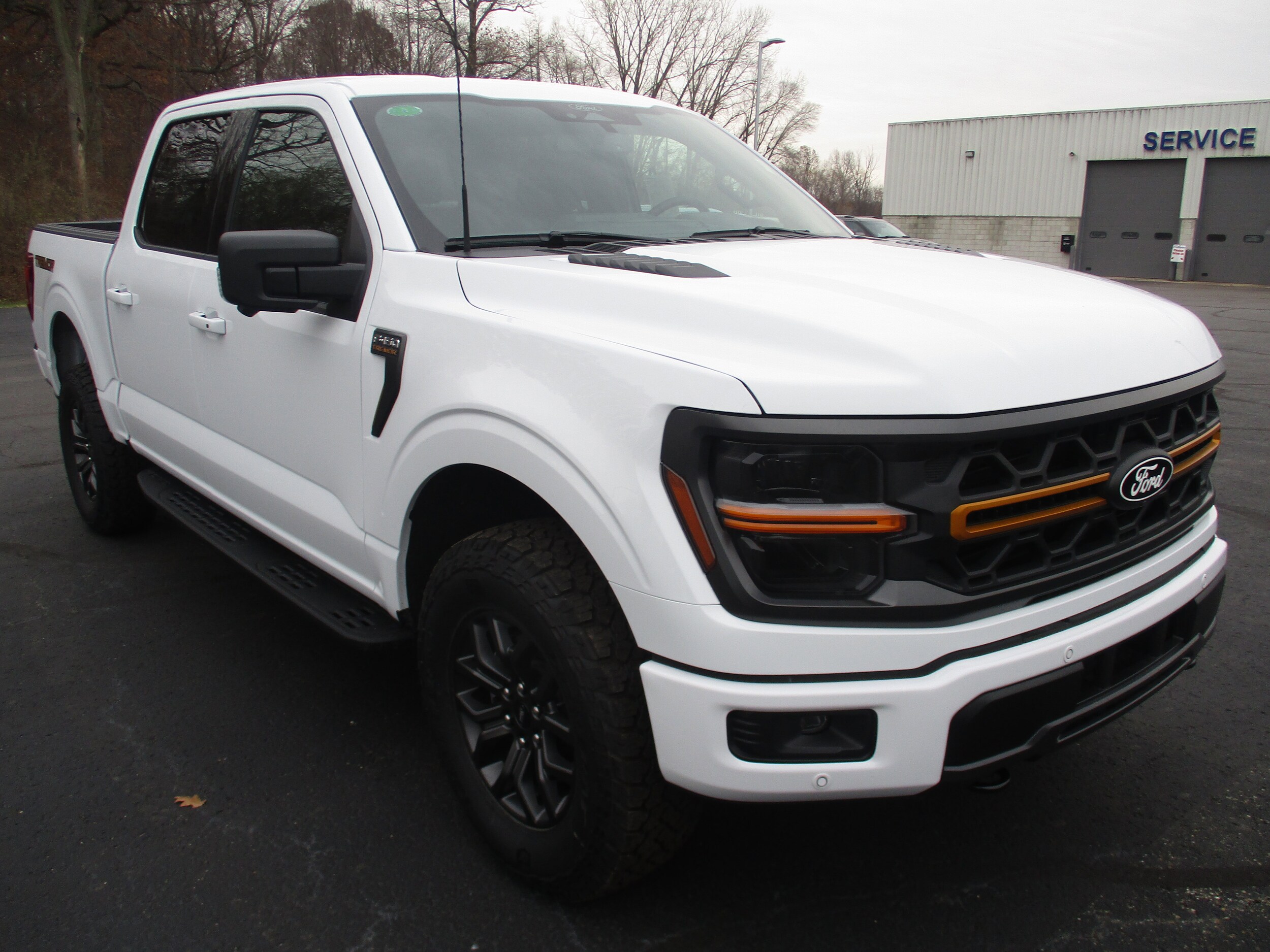 2025 Ford F-150 Tremor photo 2
