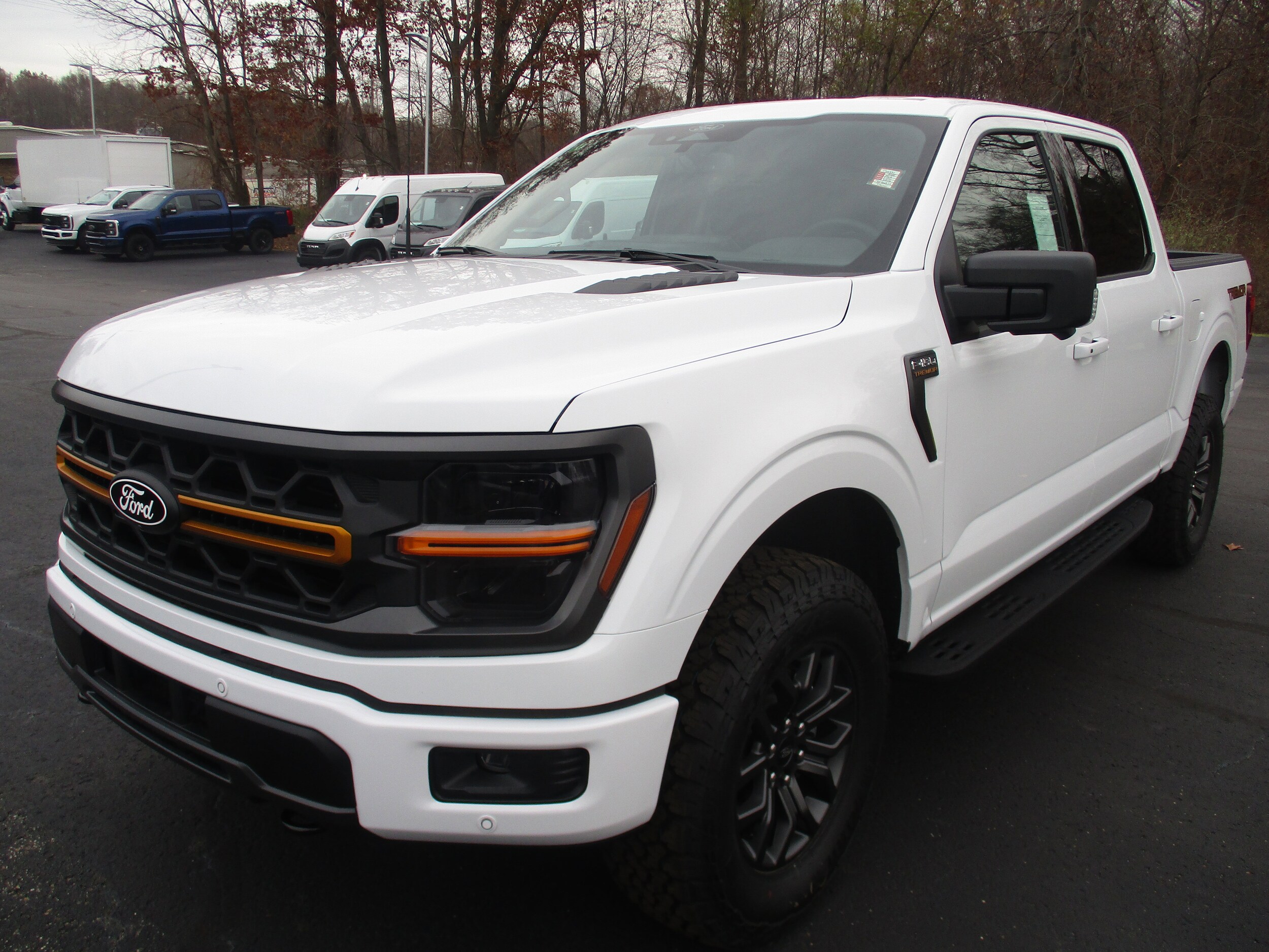 2025 Ford F-150 Tremor photo 3