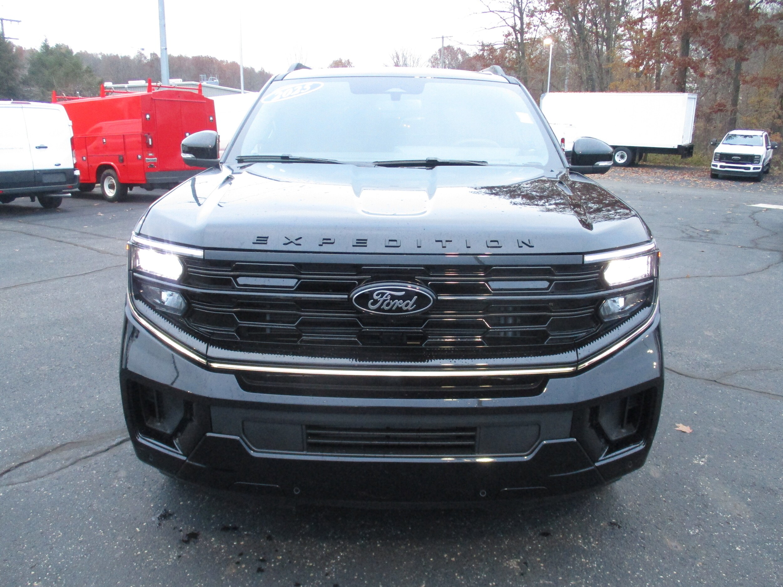 2025 Ford Expedition Platinum photo 3