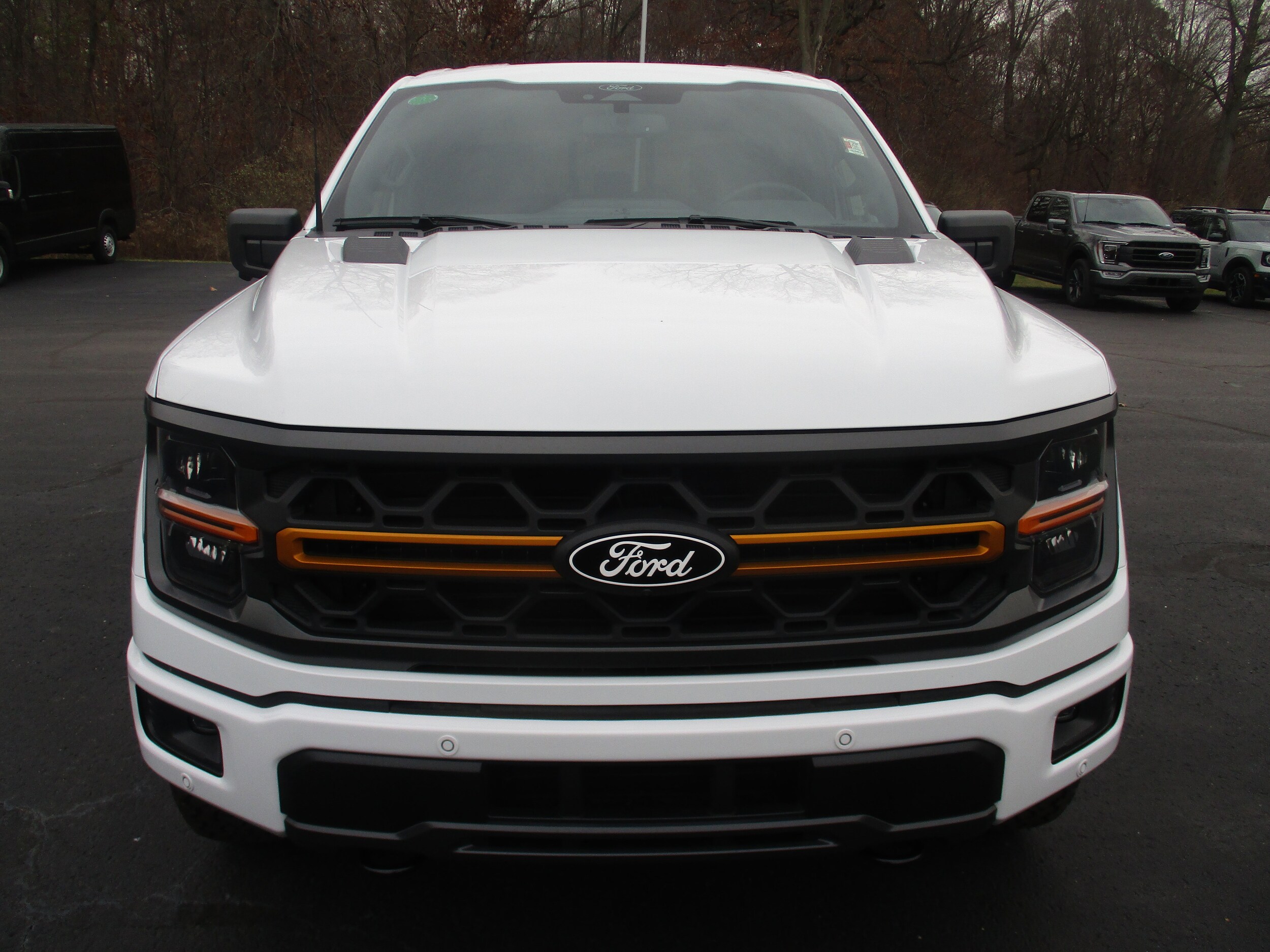 2025 Ford F-150 Tremor photo 4