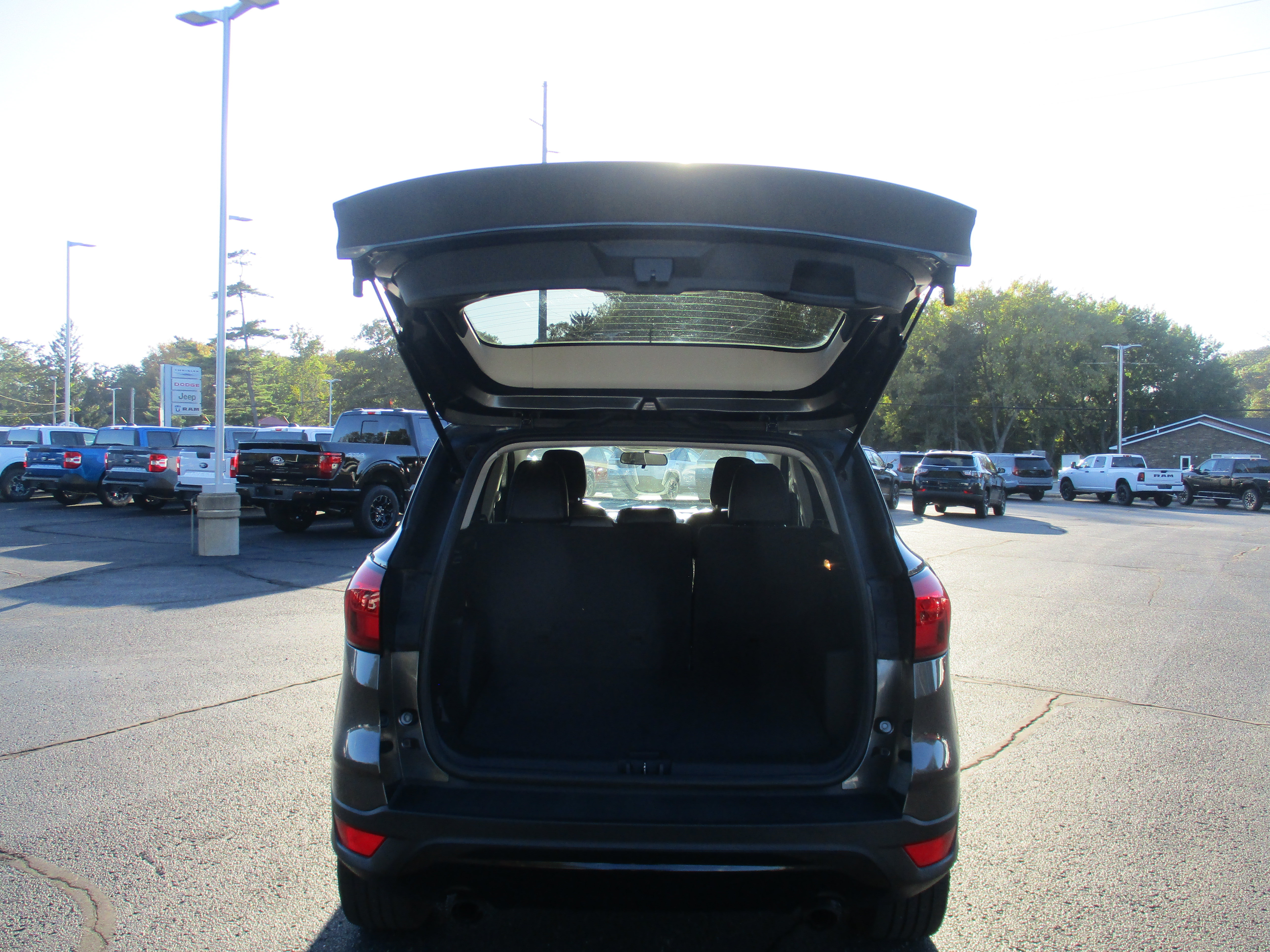 Photo 46
