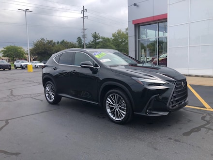 2022 LEXUS NX Luxury Sport Utility