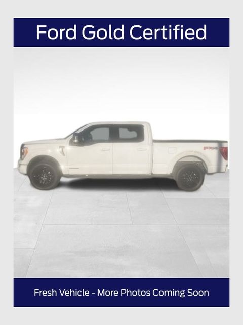 2021 Ford F-150 XLT's photo