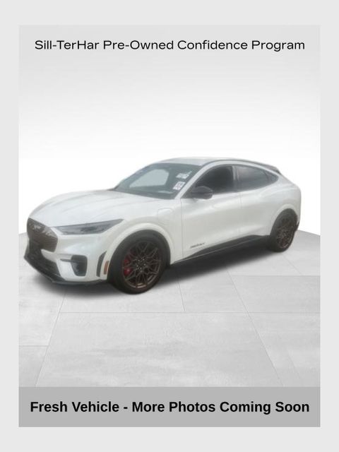 2025 Ford Mustang-Mach-e GT's photo