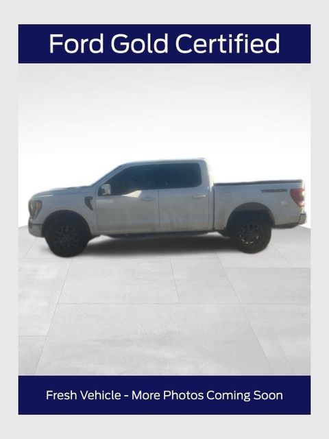 2023 Ford F-150 Tremor's photo